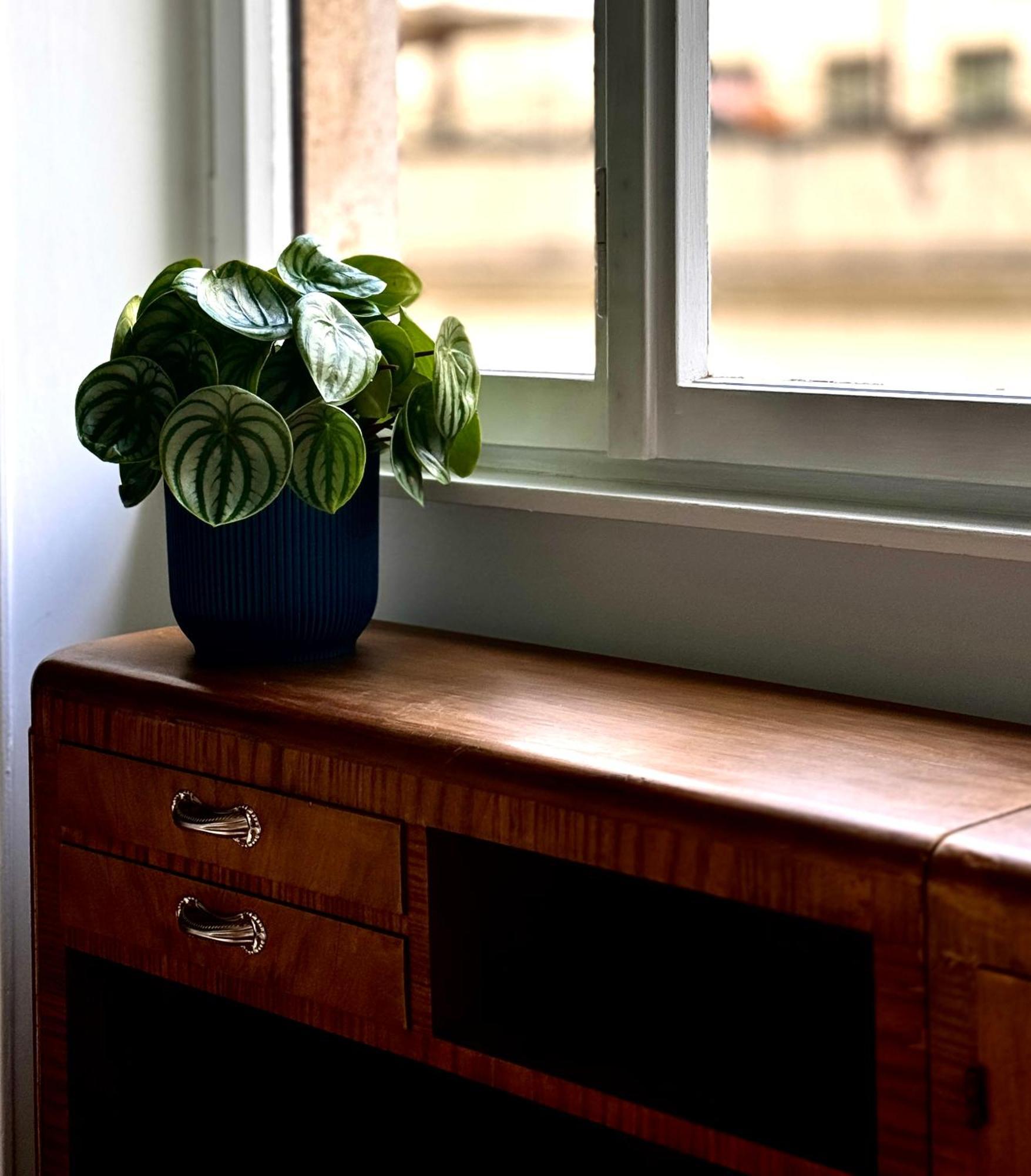 Flaminio Blues, Cozy Flat Near Piazza Del Popolo Rom